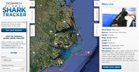 Our mission is to accelerate the ocean's return to abundance through fearless innovations in scientific research, education, outreach and policy. Tracking Mary Lee and the Sharks of the OCEARCH Global ...