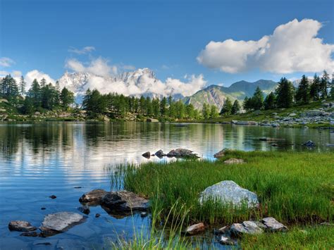 Lake Stones Green Grass Pine Trees Rocky Mountains With Snow White