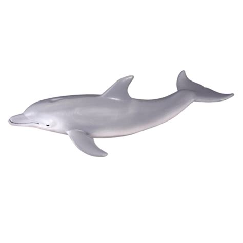 Collecta Bottlenose Dolphin Figure Bright Star Toys