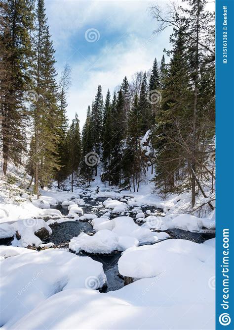 Winter Forest River Landscape Stock Photo Image Of Beautiful Snowy