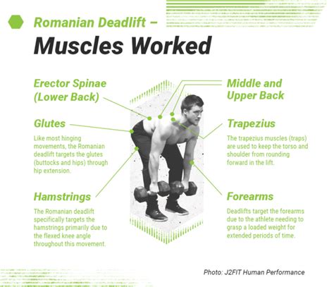 Romanian Deadlift Used For Extreme Muscle Growth And Strength