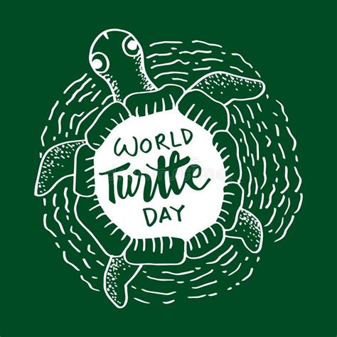 World Turtle Day 23 May Poster Concept Stock Vector Illustration Of