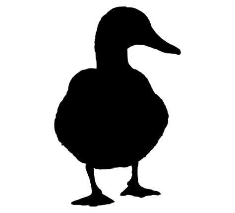 Duck 156 Images Free Svg Image And Icon Svg Silh