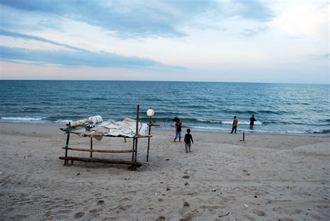 Pengunjung pantai peranginan batu burok kuala terengganu dikejutkan dengan penemuan bangkai penyu. Haji Hassan Guest House Kuala Terengganu: Pantai Batu Buruk