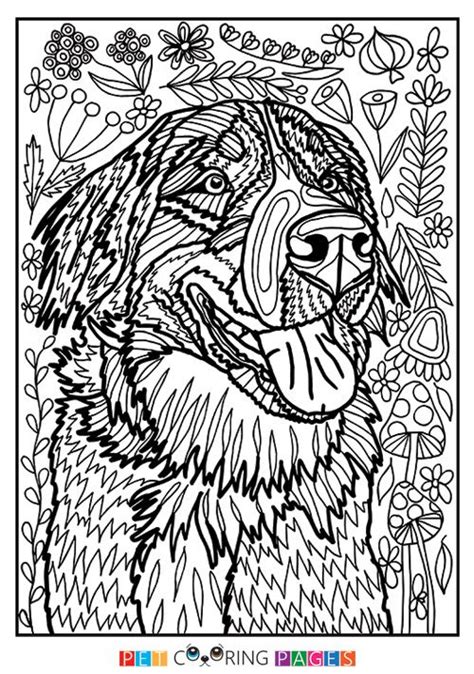 Free Printable Bernese Mountain Dog Coloring Page