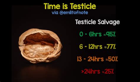 Time Is Testicle Emergency Medicine Kenya Foundation