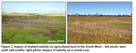 Dryland Salinity Is A Significant Cost And Major Risk To The State
