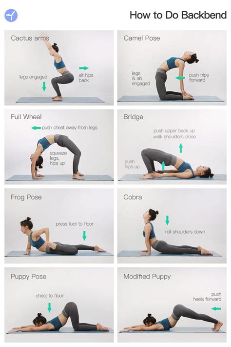 Full of basic yoga exercises. Free Yoga App for Beginner to Advanced