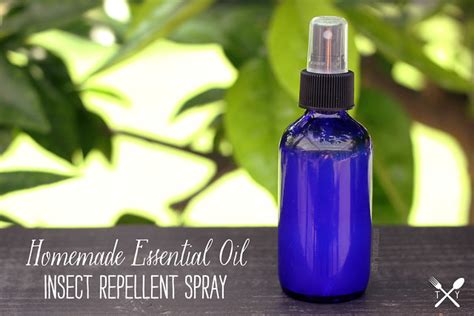 Maybe you would like to learn more about one of these? How-to Make Homemade Essential Oil Insect Repellent Spray | Tasty Yummies Natural Health