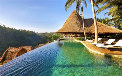 Nature Landscape Swimming Pool Palm Trees Resort