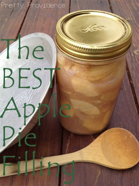 You will never need to buy canned apple pie filling again because this is such an easy recipe to make. The Best Apple Pie Filling - Pretty Providence