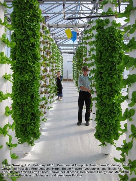 Photo Vertical Towers Hydroponics Vertical Farming Verticle Garden