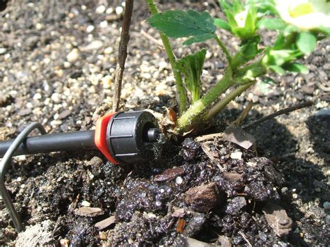 Drip Irrigation! Save the World by Saving Water! - Instructables