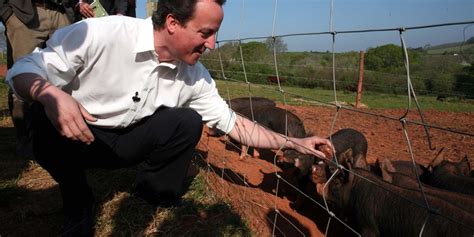 David Cameron Accused Of Putting His Dick In Pigs Mouth Dazed