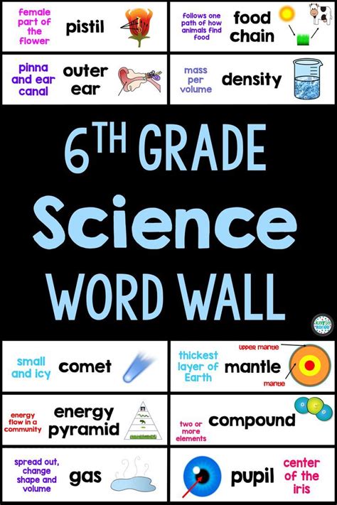 6th Grade Science Vocabulary Word Wall Science Word Wall Science
