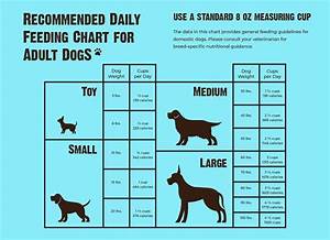 How Much Should You Feed Your Dog Canine Bcs Chart