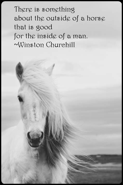 Https://tommynaija.com/quote/winston Churchill Horse Quote