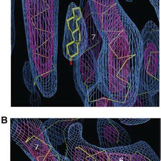 During the last decade we have been witness to several exciting achievements in electron crystallography. Views of the density map, showing two rhodopsin molecules ...