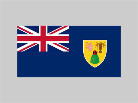 Flagge Der Turks Und Caicosinseln Offizielle Farben Und Proportionen