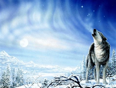 Free Download Wallpapers HD Desktop Wallpapers Free Online Magnificent Wolf X For Your