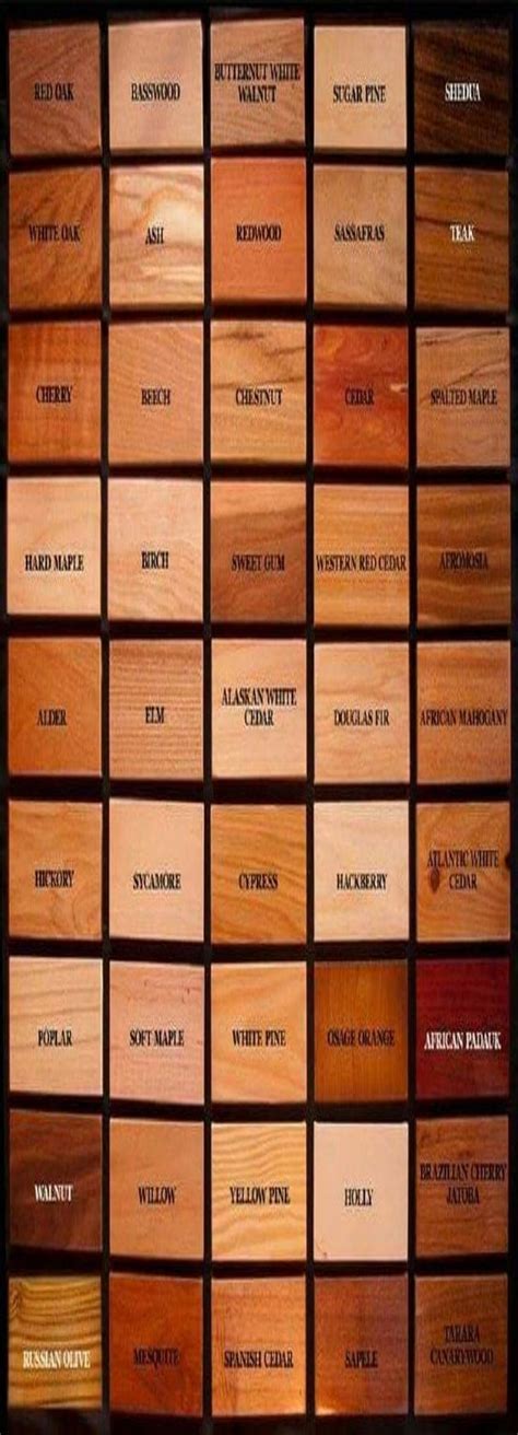 Birch Woodworking Wood Identification Chart Identifying Wood Types