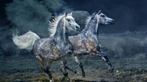 Wallpaper Id 172800 Stor 3d Cgi Ocean Horses