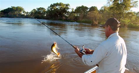 ¿dónde Voy A Pescar ~ Pesca ~