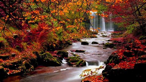 Fall Nature Desktop Wallpapers Top Free Fall Nature