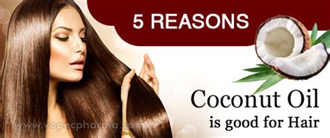 5 Reasons Coconut Oil Is Good For Hair