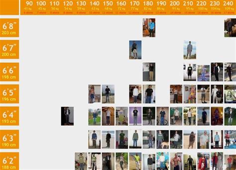 Photographic Heightweight Chart Body Size Photo Gallery 05 Weight