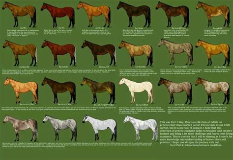 Guide On How To Paint Horses For Wargames Will Be Great For
