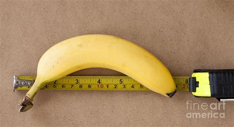 Banana Size Measuring Photograph By Igor Kislev