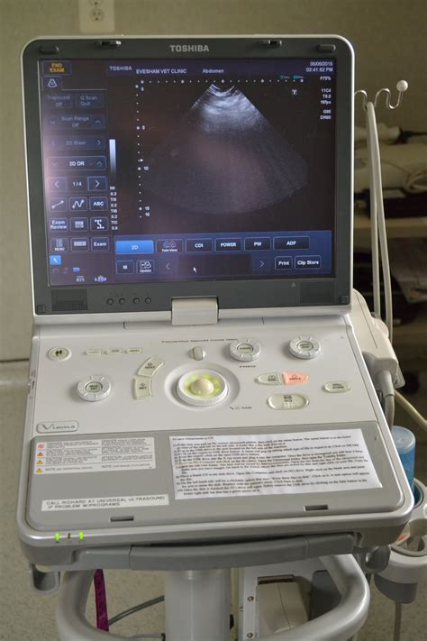 Ultrasonography Evesham Veterinary Clinic
