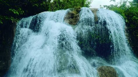 Calming Tropical Rainforest Waterfall In Philippines Cebu Nature Asmr