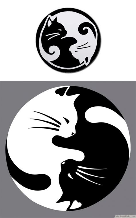 Shero, son fils taco et sa petite amie misstinguette. Dessin tatouage chat blanc et noir femme forme yin et yang ...