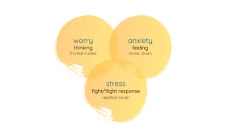 The major differences between having anxiety and feeling anxious are listed below: The difference between worry, anxiety and stress — maya ...