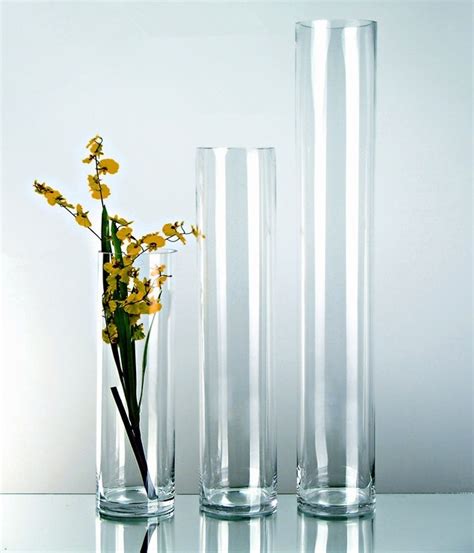 Clear Flower Glass Tall Cylinder Vase X Cm Lazada Ph