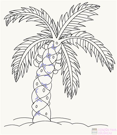Dibujos de domingo de ramos. ᐈ Dibujos de palmeras【+1000】Para colorear Hoy