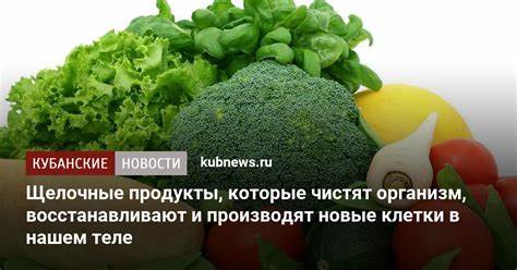 Ожирение сердца лечение питание диета