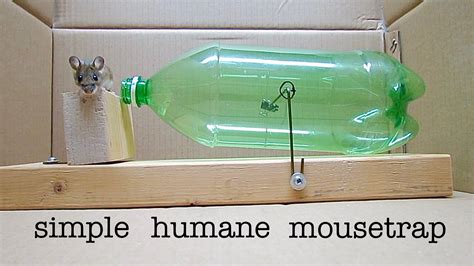 Super Creative Mouse Trap That Catches The Mouse Without Killing It Onedio Co