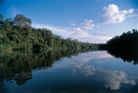 Travel Guide To Amazon River Brazil Xcitefun Net