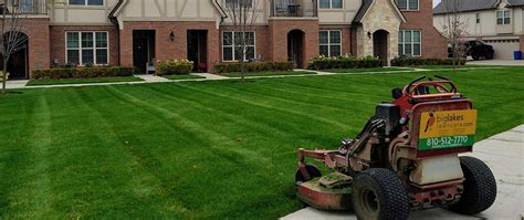 4 Services That An Hoa Grounds Maintenance Company Should Offer Big