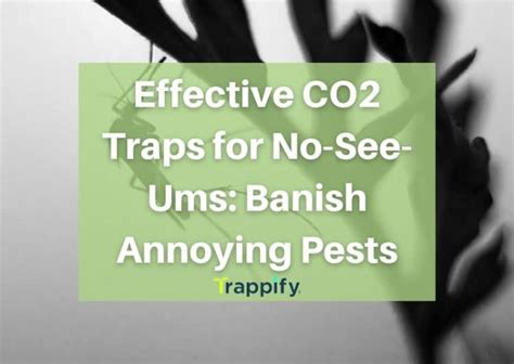 Effective Co Traps For No See Ums Banish Annoying Pests