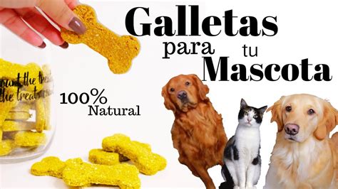 Galletas Para Perro Y Gato Premios Para Tu Mascota Pumpkin Dog