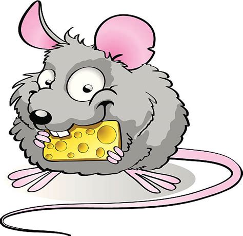 Best Field Mouse Illustrations Royalty Free Vector