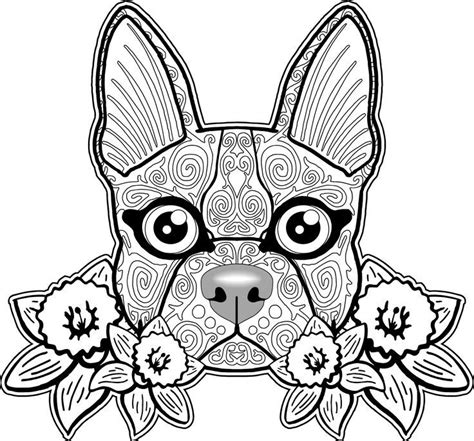 Bull Dog Coloring Pages Coloring Home