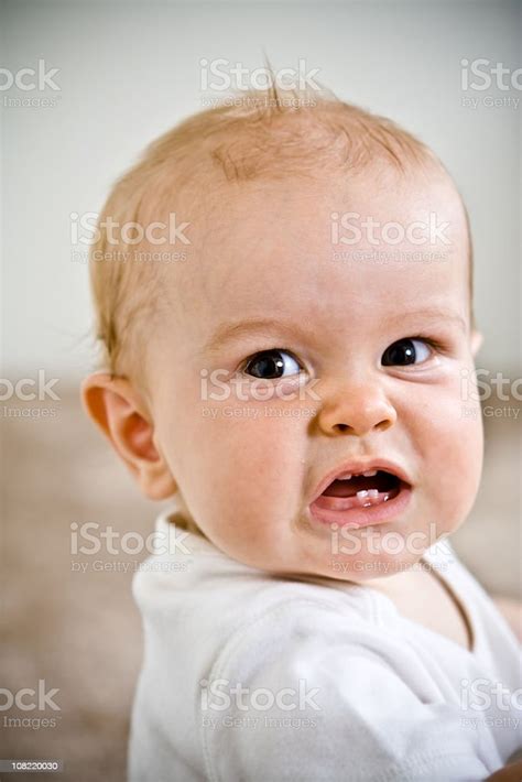 Angry Baby Stock Photo Download Image Now Baby Human Age Furious