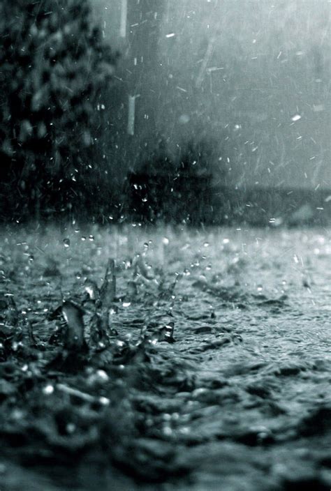 los mejores fondos de pantalla de lluvia rain wallpapers rainy day photography rain photography
