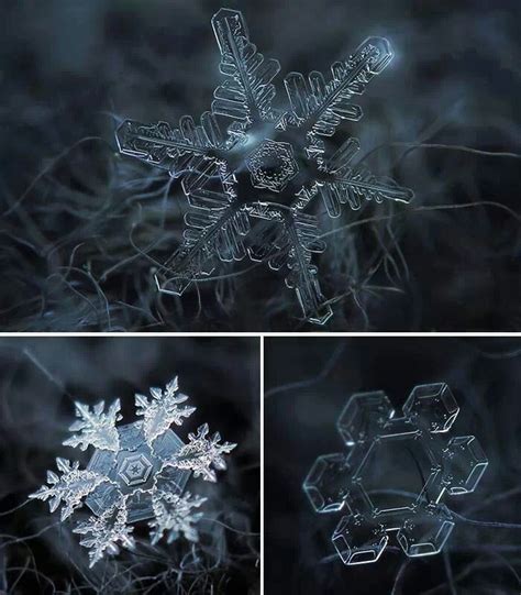 17 Best Images About Snowflakes On Pinterest Snowflakes Macro Photo