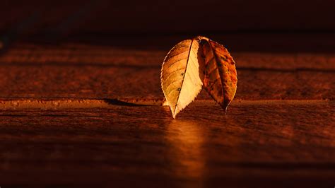 Autumn Chromebook Wallpapers Wallpaper Cave